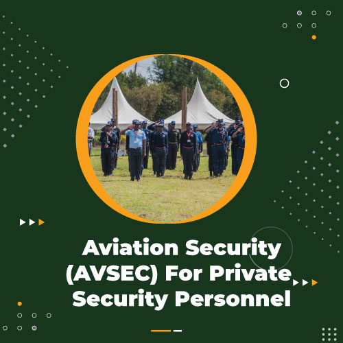 Aviation Security (AVSEC) for Private Security Personnel